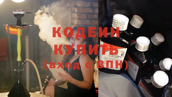 ПСИЛОЦИБИНОВЫЕ ГРИБЫ Вязьма