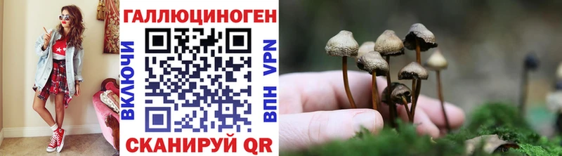 Псилоцибиновые грибы Cubensis МЕГА Ермолино